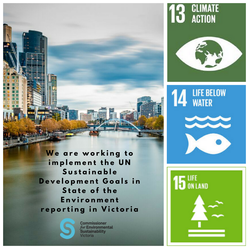 CES' infograph showing numbers for climate action, life below water and life on land