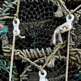 Crayfishing nets stacked together and held by ropes