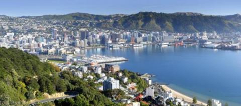 image of Wellington NZ from above featuring the water, greenery and some infrastructure