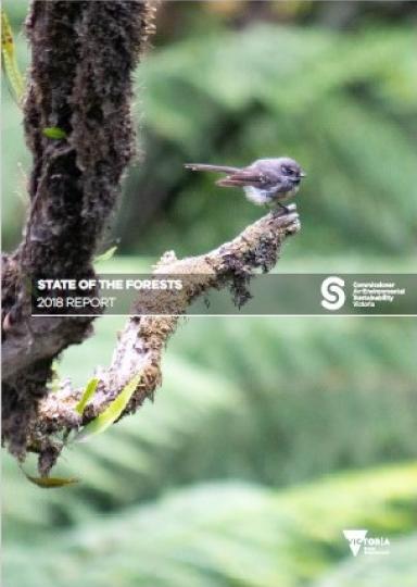 State of the Forests 2018 Report